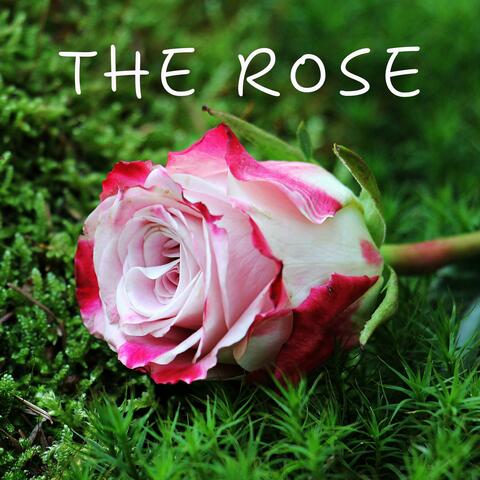 The Rose (Acoustic Instrumental) album art