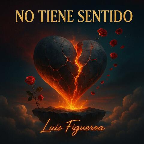 NO TIENE SENTIDO album art