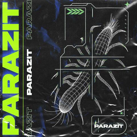 Parazit album art