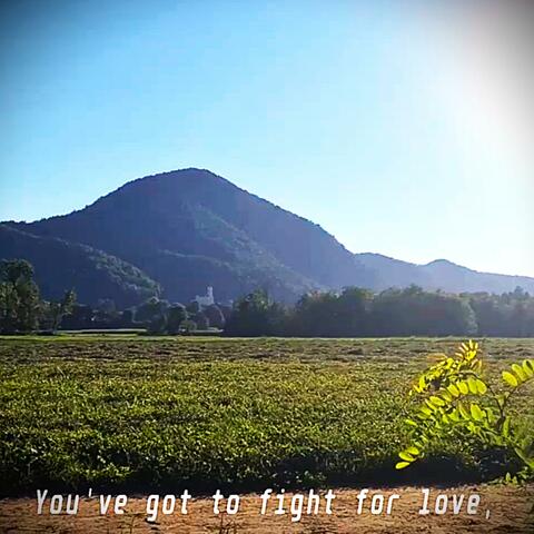 Fight For Love album art