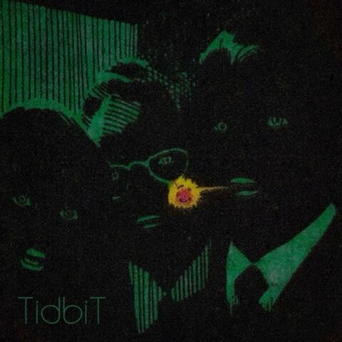 TidbiT album art