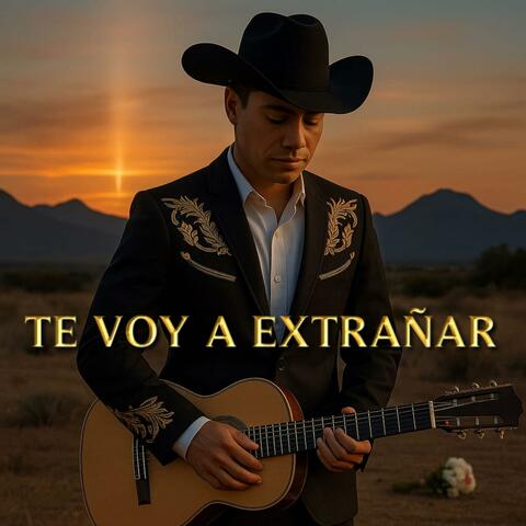 TE VOY A EXTRAÑAR album art