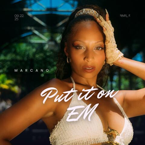 Put It On Em album art