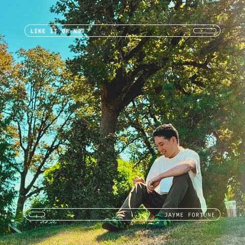 Like It or Not album art