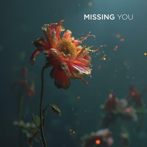 Missing You album art
