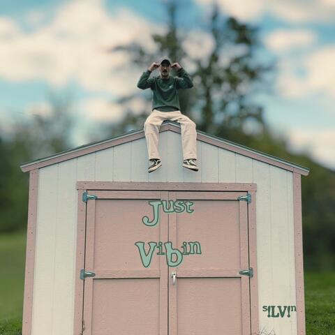 Just Vibin album art