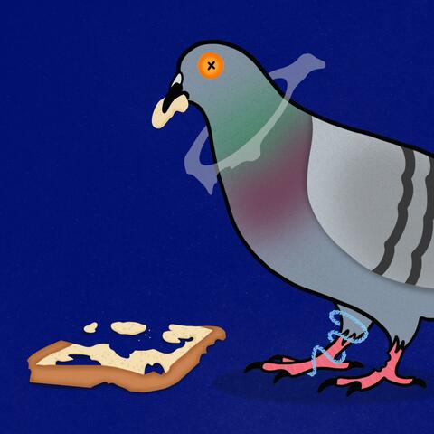 PIGEONS (feat. namebuddha) album art