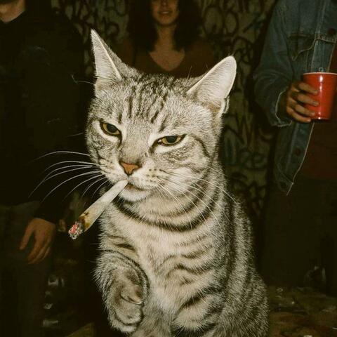 (Ureleased trap files) 4 THE GAME album art