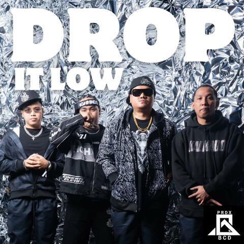 Drop It Low album art