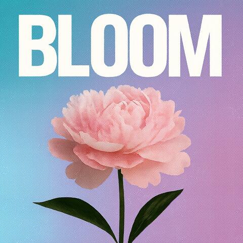 Bloom album art