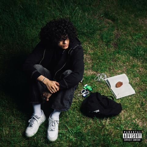 Far From Perfect album art