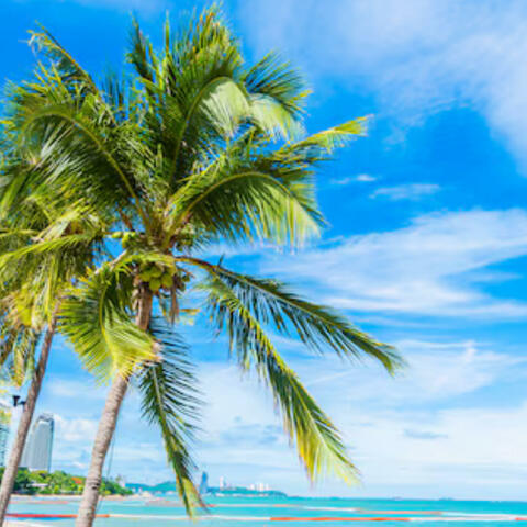 Beach episode album art