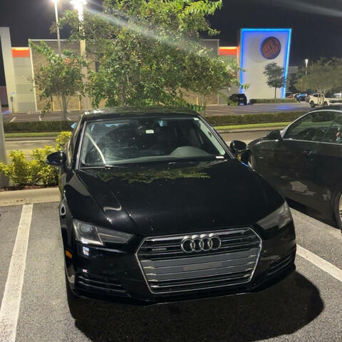 Trust Fall n See album art