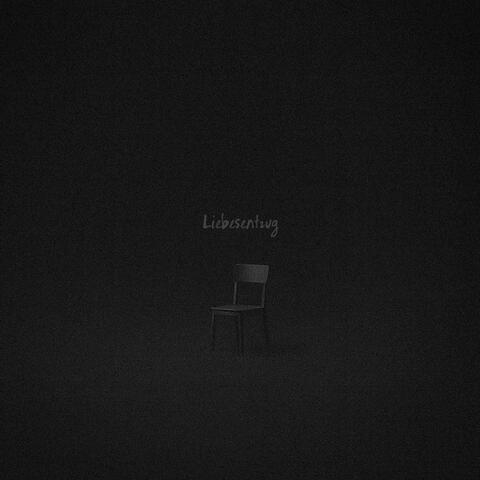 Liebesentzug album art