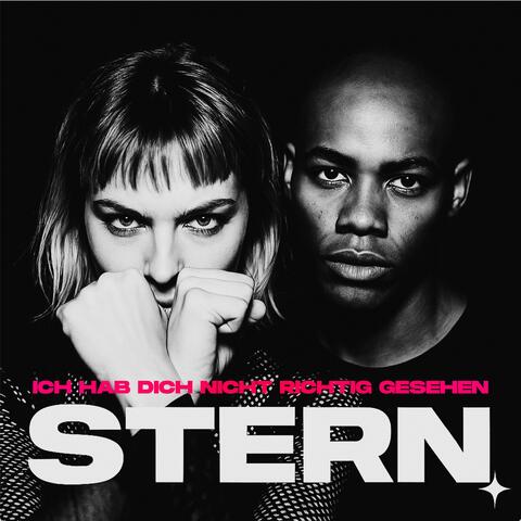 Ich hab dich nicht richtig gesehen album art