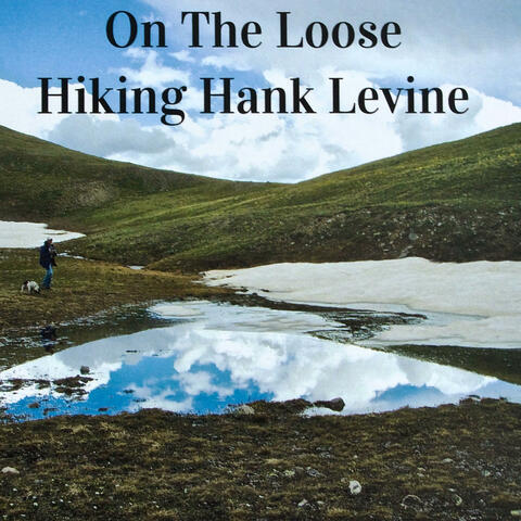 On The Loose album art