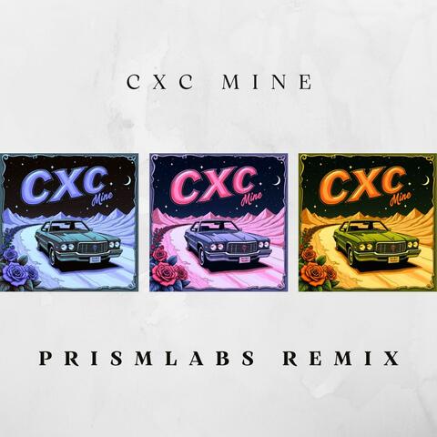 Mine  (Prismlabs Remix) album art