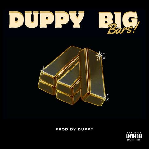 Big Bars album art