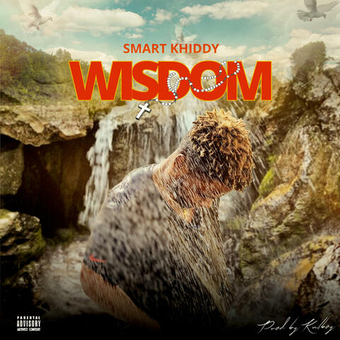 WISDOM album art
