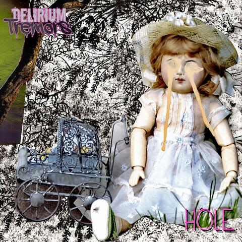 Hole album art