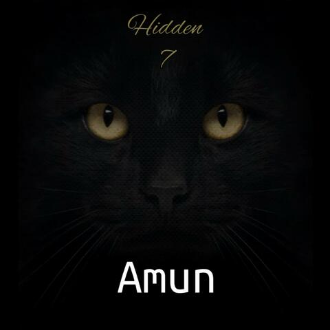 Hidden 7 album art