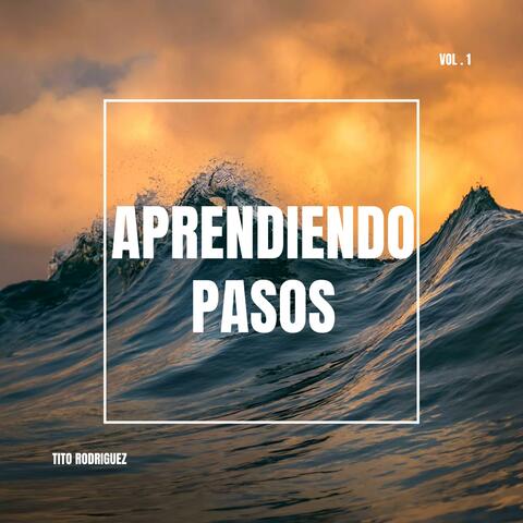 Aprendiendo Pasos album art
