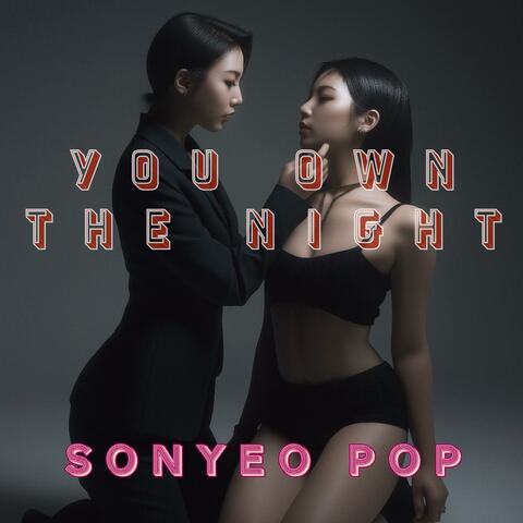 You Own The Night album art