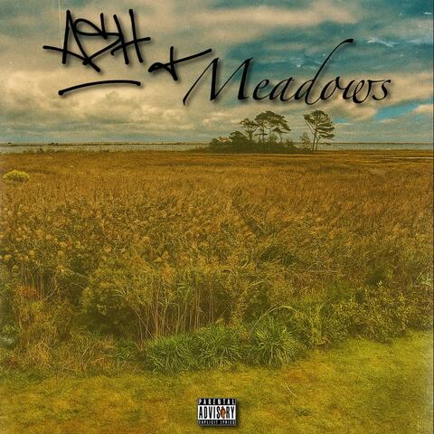 Ash & Meadows album art