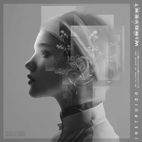INSTRUIDO (Me Olvido de Quién Soy) album art