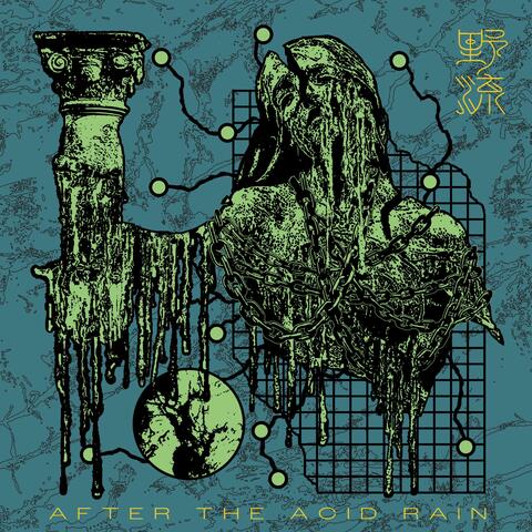 After The Acid Rain album art