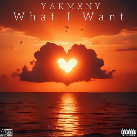 What I Want album art