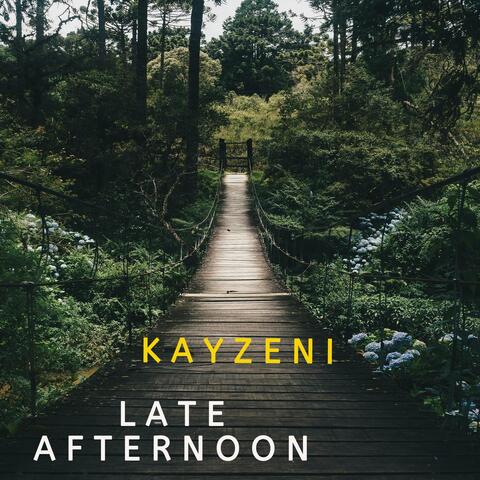 Late Afternoon album art