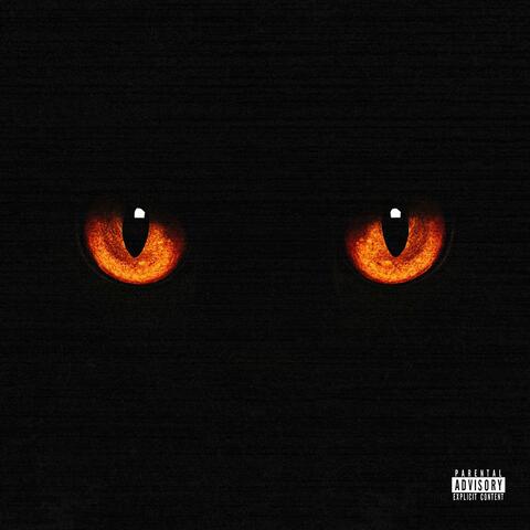 2INSANE album art