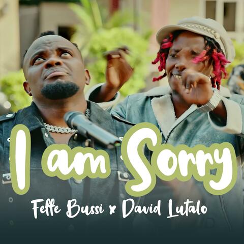I am Sorry (feat. David Lutalo) album art