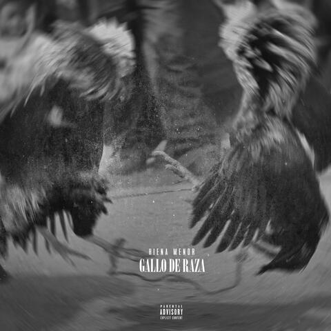 Gallo de Raza (feat. HIENA MENOR) album art