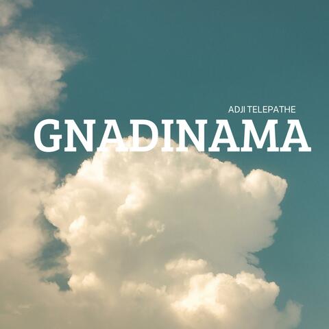 Gnadinama album art
