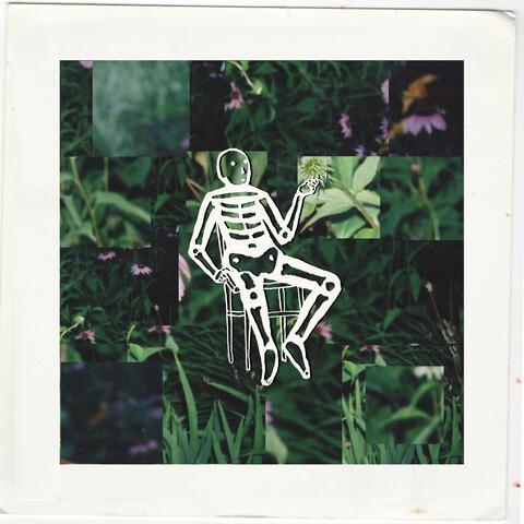 you can smoke if it's hospice album art