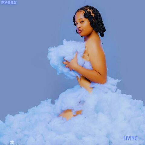 Pyrex Living album art