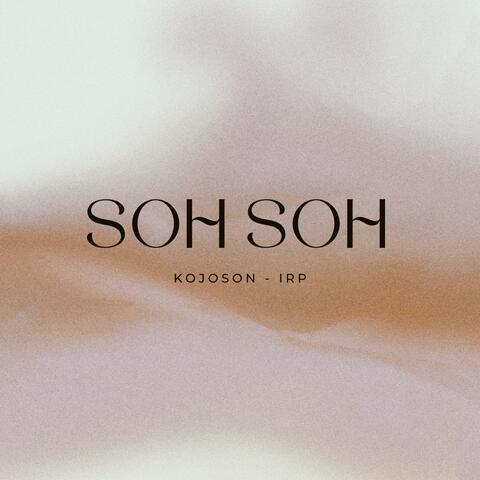 Soh Soh album art