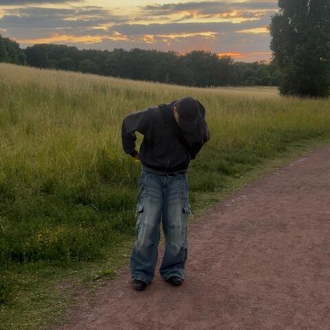 Fehler album art