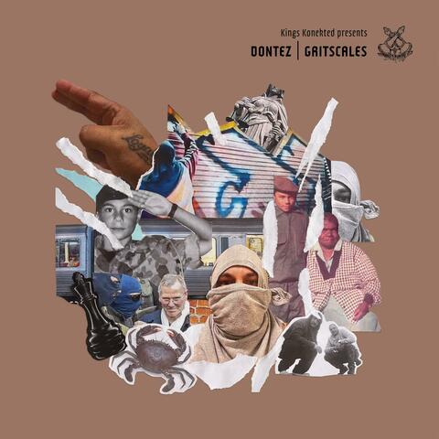Gritscales album art