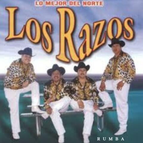 Rumba album art
