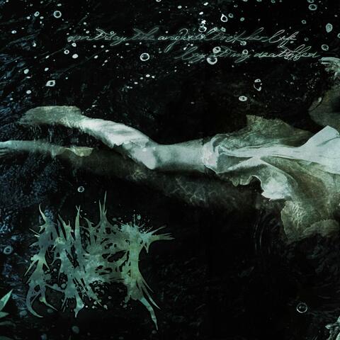 Don't Say The Anguish Took Her Life / Lay At My Deathbed album art