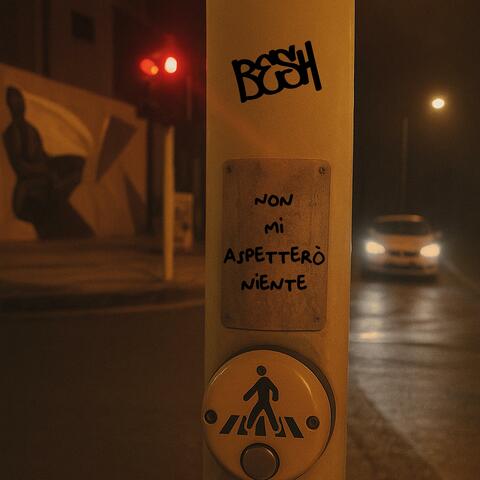 Non mi aspetterò niente album art