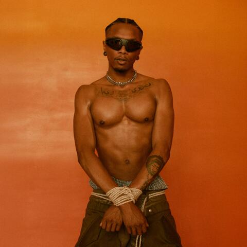 Pleazer album art