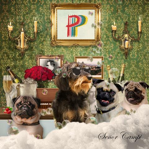 Señor Campi album art