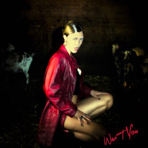 Want You album art