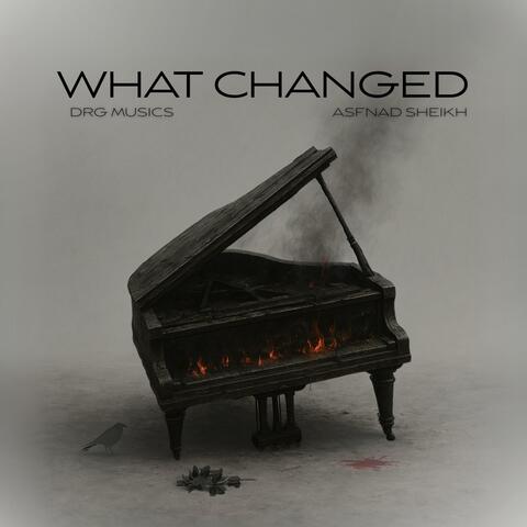 What Changed (feat. Asfand Sheikh) album art