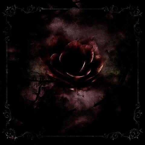 identity disturbance album art