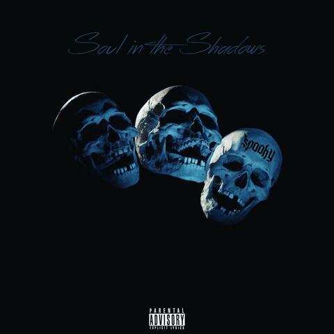 Soul in the Shadows album art